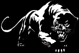 New Black Panther Party Logo