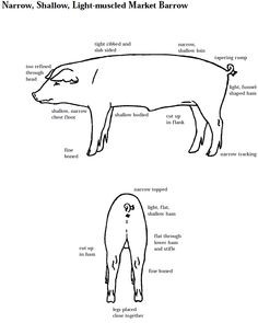 learning pig parts | email this blogthis share to twitter share to ...
