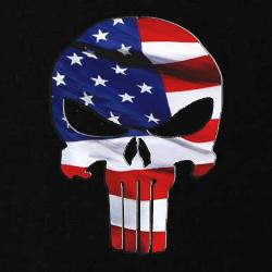 American Flag Punisher Skull picture