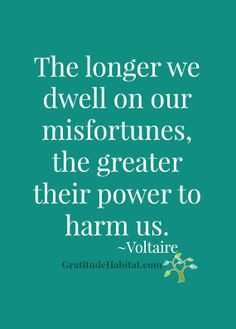 Count your blessings. #Voltaire-quote #inspirational-quote Visit us at ...