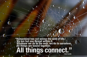 Everything is connected