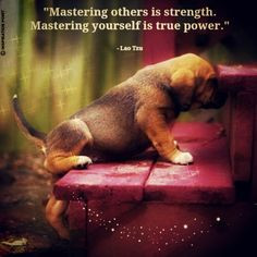 ... others is strength. Mastering yourself is true power. ~Lao Tzu #quotes