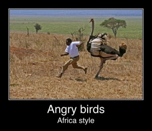 Angry Birds: African Style