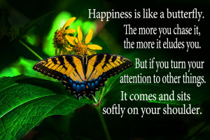 Happiness is like a butterfly; the more you chase it, the more it will ...