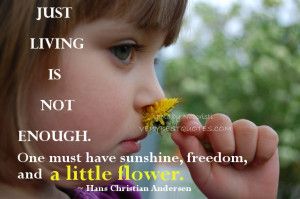 Living Life Quotes - Just living is not enough. One must have sunshine ...