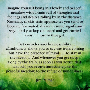Jim Palmer