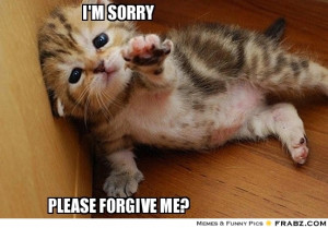 Im Sorry Quotes With Cats. QuotesGram