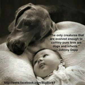 ... that are evolved enough to convey pure love are dogs and infants