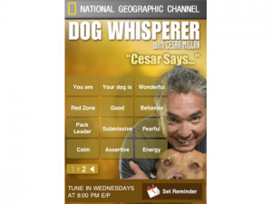 Cesar Millan Pitbull Quote