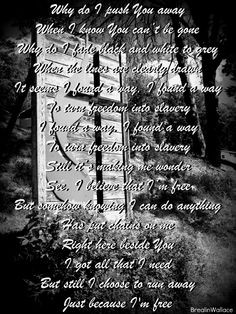 Anthem Lights ♥ More