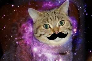 galaxy cat--with mustache!Galaxy Cat, Spaces Cat, Galaxies Cat With ...