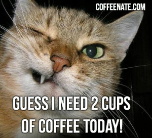 This kitty needs to cups of coffee…I need more!