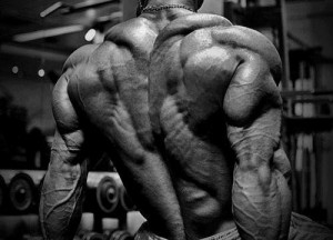 motivational-bodybuilding-500x360.jpg