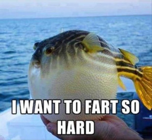 funny fish, fart so hard