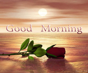 sabse pyare insaan aur sabse pyare dosto ko,