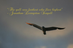 The gull sees farthest who flies highest” ? Richard Bach, Jonathan ...