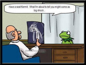 Kermit the frog's x-ray
