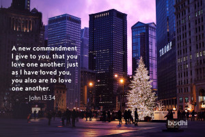 jesus quote - john 13 34 - christmas tree - 120114 - 1800