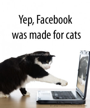 yep facebook was made for cats download cat pulls a paw to the laptop ...
