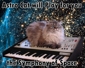 2006 origin ytmnd tags cat space picture keyboard ytmnd cat in space ...