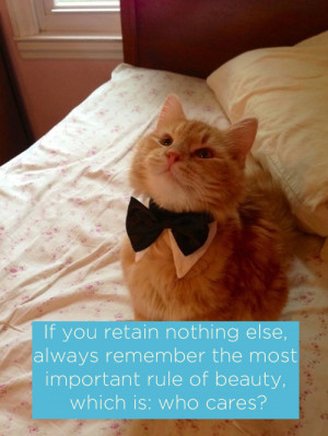 LOL animals cute cats inspirational Tina Fey inspirational quotes ...