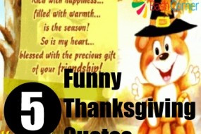... funny thanksgiving quotes ideas for thanksgiving quotes bash pictures