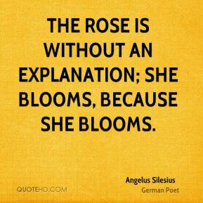 Angelus Silesius - The Rose is without an explanation; She blooms ...