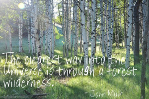 John Muir Quote via Imagine Childhood