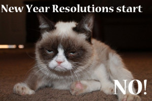new year grumpy cat happy new year from grumpy cat middot found on i ...