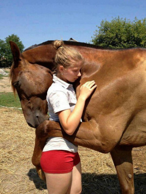 here are five pictures of animals expressing what looks to be love ...