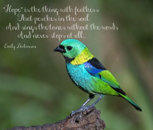 hope Emily Dickinson poem beautiful bird