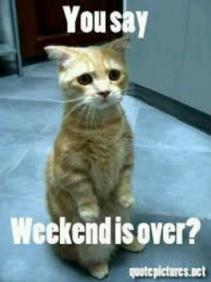 The weekend.is over