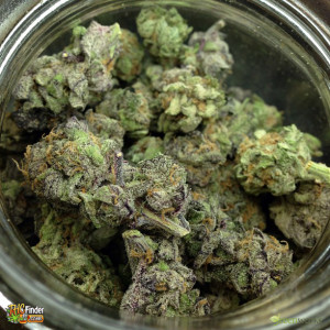 granddaddypurple-gdp-weed-gdp-medical-marijuana-thcfinder-99838.jpg