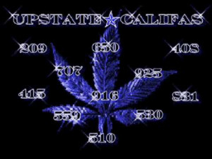 up state califas - upstate califas to southern califas 213 323 818 310 ...