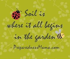 Fun Quotes and Sayings