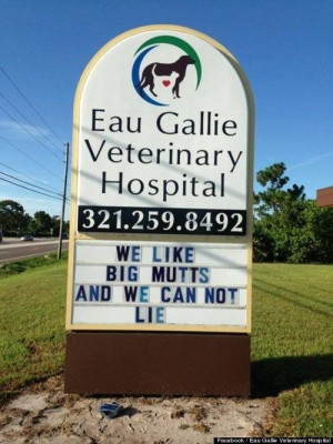 Funny vet signs @Mary Powers Gagnon Look! Melbourne is on Pintrest ...