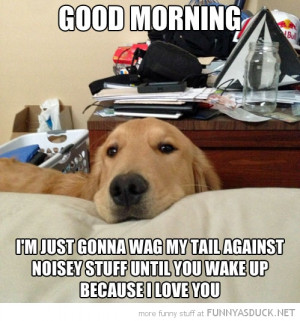 dog animal good morning wag tail noisy stuff wake up funny pics ...