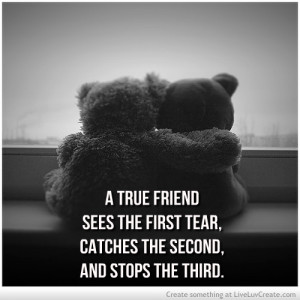 ... friendship, love, pretty, quote, quotes, see, stop, tears, teddy bears