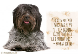 Dog Nose Quotes