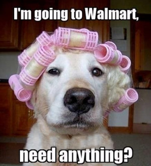 ROFLMAO! Dog needs to run to Walmart to pickup a few things. I'm dying ...