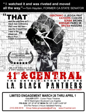 Black Panthers Poster