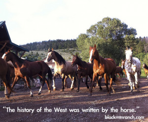 Horse Quotes and Cowgirl Quotes… with some Cowboy Quotes too