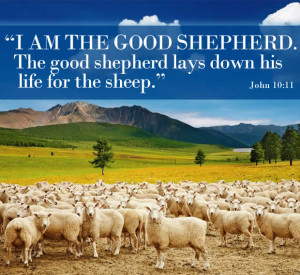 ... the good shepherd. The good shepherd lays down his life for the sheep