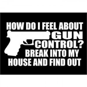don't actually have an opinion on gun control, but i thought this ...