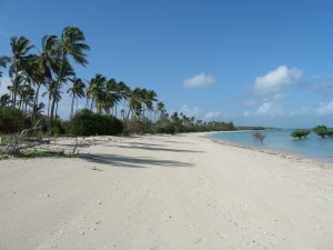 Zanzibar Holidays Image Click To Enlarge