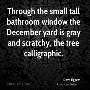 ... tall bathroom window the December yard is gray and scratchy, the tree