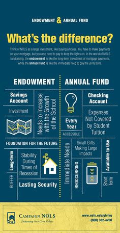 endowment vs annual fund infographic more annual campaigns endow ...