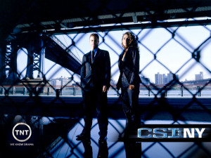 Related Pictures bree turner pictures photos celebritywonder