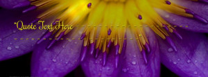 Purple Flower Facebook Name Cover Quotes Name Covers