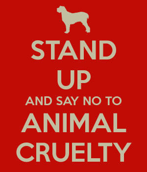 STAND UP AND SAY NO TO ANIMAL CRUELTY